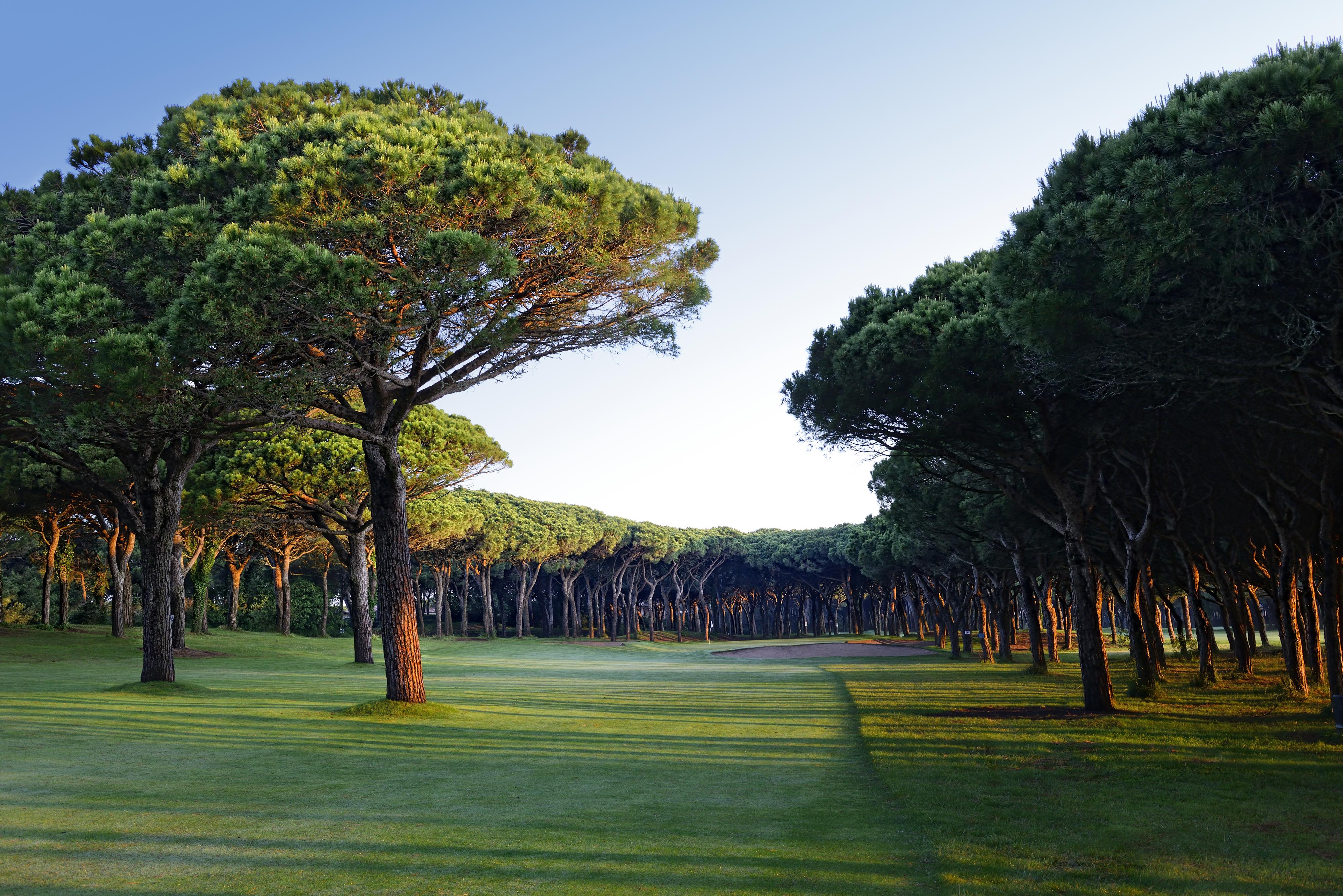 פאלס La Costa Hotel Golf & Beach Resort מראה חיצוני תמונה